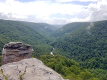 The view from Lindy Point Blackwater Falls State Park West Virginia 