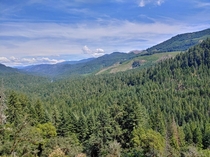 The view from the top of Bobs Butte near Glide Oregon 