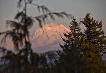 The view of Mt Rainier from Overlook Point Park 