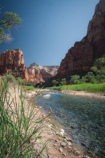 The Virgin River flowing through Zion National Park 