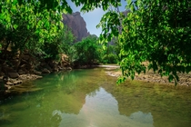 The Virgin River of Zion National Park Utah 