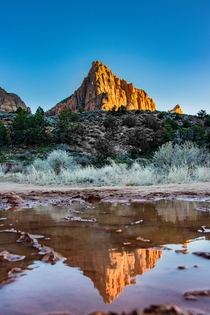 The Watchmans Reflection Zion National Park UT 
