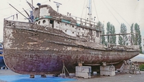 The WESTERN FLYER after being salvaged from Swinomish Channel Washington The -foot purse seiner featured in Steinbecks The Log from the Sea of Cortez is being restored  photo by Skip Bold 
