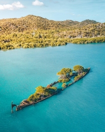 The wreck of the SS City of Adelaide in Australia has become an accidental island