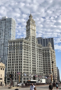 The Wrigley Building this morning  Chicago IL 