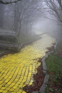 The yellow brick road from the abandoned theme park The Land of Oz in Beech Mountain North Carolina  By unknown