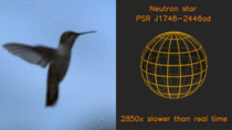 There is a neutron star that rotates  times per second To show how fast that is it rotates  times while this hummingbird completes half a flap of its wings