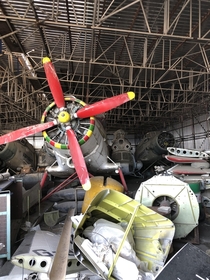 These old rotting Antonov Aircraft Stored in an open hangar near where I work