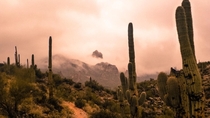 They call these the Superstition Mountains I think this name is fitting many strange things happen here Arizona 