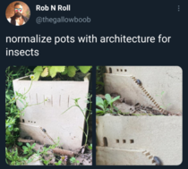 They deserve Architecture Porn too