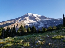 They didnt lie when they said Mt Rainier was an absolute unit 