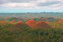 They wont satisfy your sweet tooth but the Chocolate Hills of the Philippines contain marine fossils tht are millions of years old 