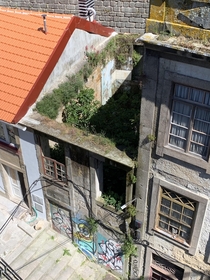 This abandoned building taken over by nature in Porto