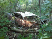 This abandoned car in Halton Hills Ontario
