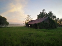 This abandoned farm building just outside Barrie Ontario