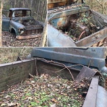 This abandoned truck I found in the woods