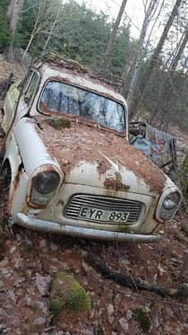 This car i foumd in the forest