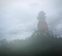 This giant pineapple with osprey nest and large beehive US- just outside Lake Placid FL