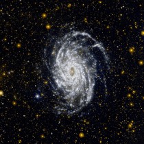 This image from NASAs Galaxy Evolution Explorer shows NGC  one of the galaxies most similar to our Milky Way in the local universe 
