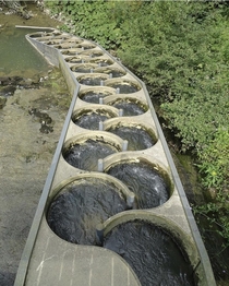 This is a fish ladder on the Sorne in the Pichoux Gorge Switzerland It is a prefabricated with  tanks ampamp elevation gain of  feet m ampamp it was built to allow fish to migrate varied elevations between lakes ampamp rivers Fish swim up the gradual leve
