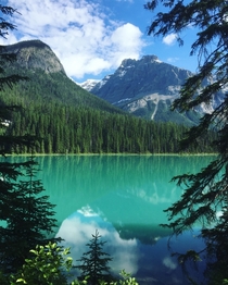 This is Emerald Lake an hour away from the infamous Moraine Lake 