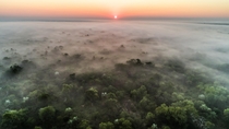 This is Gorongosa National Park in Mozambique Its an African gem this subreddit would love and a place Ive gotten to call home for the past three years Its also been devastated by Cyclone Idai in the past week causing a severe humanitarian crisis Please h