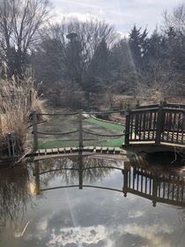 This miniature golf course used to be so beautiful but has been closed since  Nature is slowly reclaiming it