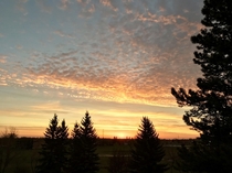 This morning gets better am central Alberta