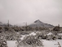 This morning outside of Tucson Arizona 