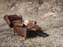 This recliner in the middle of nowhere Texas