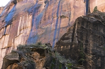 This rock so blue Zions National Park Utah  OC