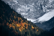 This season between autumn and winter can be called Wintumn  Switzerland 