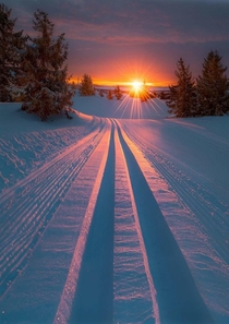 This sunset with car tracks in the snow