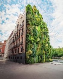 This vertical garden located in Madrid Spain