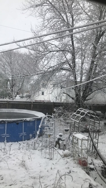 This was my backyard in February Not the best post on here but I thought it was worth sharing