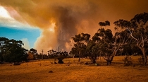 This was the sky during a bushfire in Victoria early March this year 