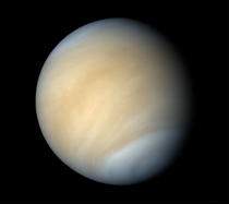 Those clouds Cant wait for more Venus missions Venera-D will be the next mission i think