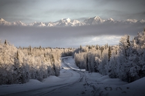 Times of Uncertainty Beautiful morning in Denali Park Alaska by Cheyzan Rivas 