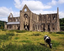 Tintern Abbey abandoned in  in Wales 