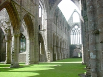 Tintern Abbeys Carpet of Grass 