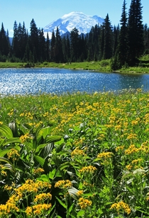 Tipsoo Lake Washington State 