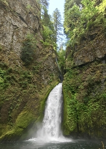 Today I took my kids on a hike to Wahclella Falls near Portland Oregon We were not disappointed 