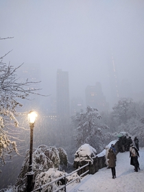 Todays surprise snowfall in NYCs Central Park 