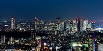 Tokyo City Lights 