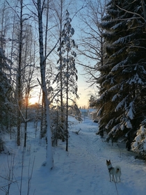 Took a shot on my morning walk today - Lappeenranta Finland