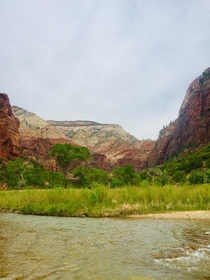 Took a trip out west to Zion nation park 