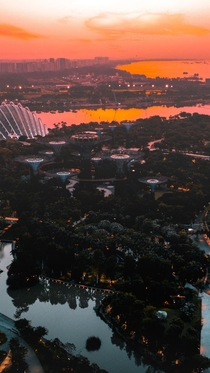 Took my drone out for a spin and captured this amazing sunrise of Gardens by the bay in Singapore
