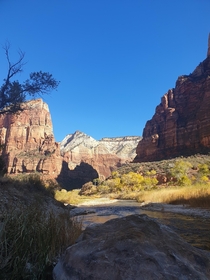 Took this after a nice morning hike to Angels landing Zion National Park Utah 
