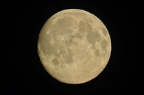 Took this in my garden when I was  without a telescope or even tripod just a canon sx in my pre-pubescent hands