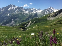 Took this photo in Mont Blanc in the summer of  